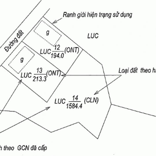 Lập thủ tục cấp lại GCNQSDĐ do bị mất tại Quận Bình Tân